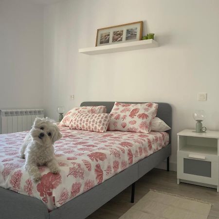 Plata 2 Apartment Замора Екстериор снимка