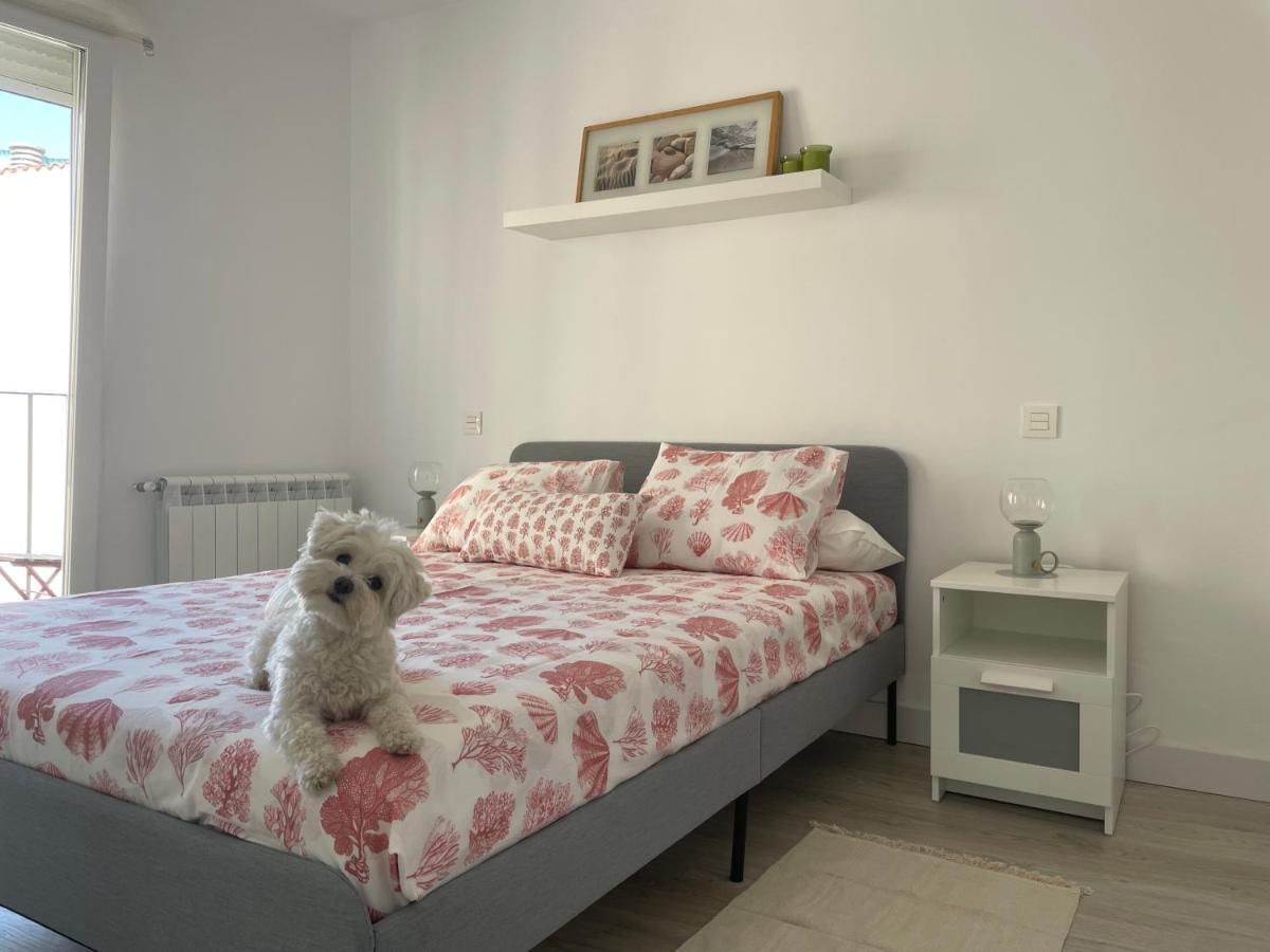 Plata 2 Apartment Замора Екстериор снимка